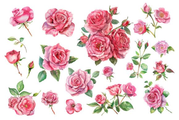 Download Pink Roses, Printable Watercolor Clipart - Printable watercolor Collection