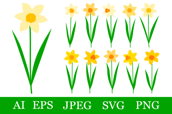 Download Daffodils Bundle SVG. Spring Flowers - Spring flower Collection