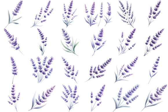 Download 24 Lavender Watercolor Clipart Bundle - Lavender watercolor Collection