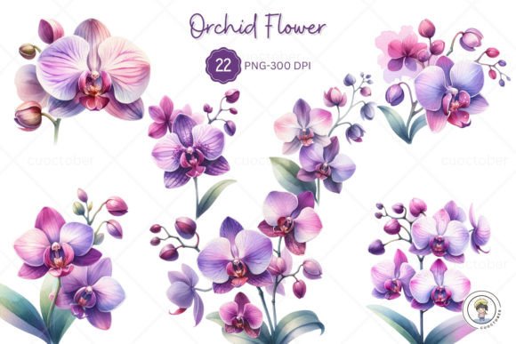 Download Watercolor Purple Orchid Flower Clipart - Premium Resources