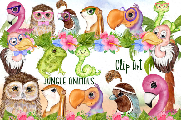 Download Tropical Birds Cute Safari Animals - Premium Resources