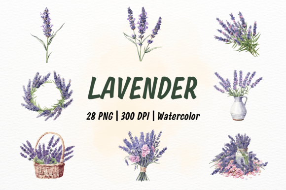 Download Set of 28 Lavender Watercolor Clipart - Lavender watercolor Collection