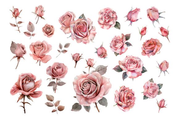 Download Pink Roses, Printable Watercolor Clipart - Printable watercolor Collection